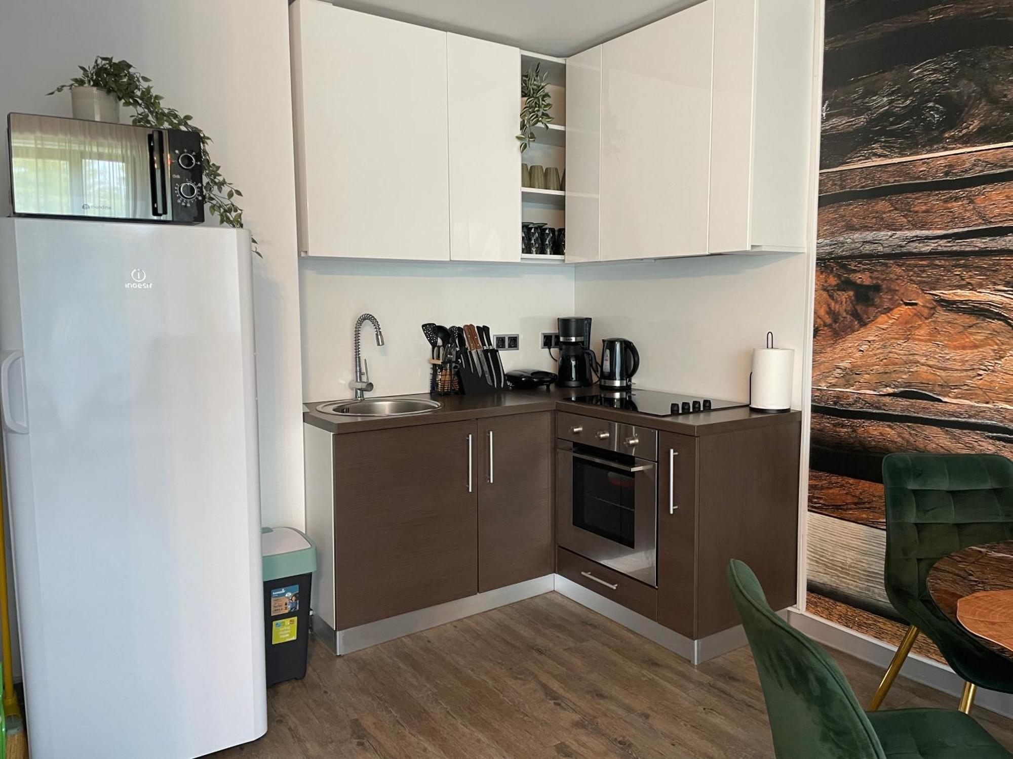 Luxury Silver Mountain Apartment بويانا براسوف المظهر الخارجي الصورة